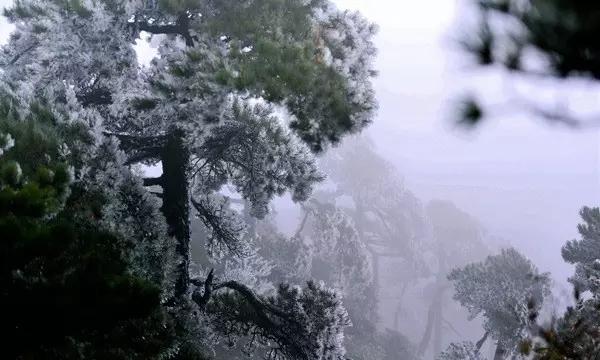探寻人生真相,一起来中国历史上第一次农民起义是怎样产生的?交流吧!